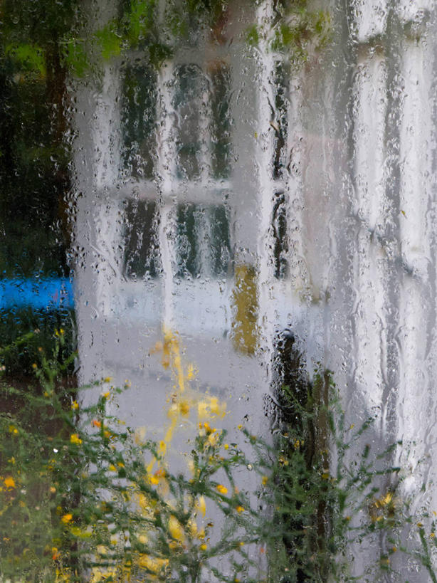 无人,竖图,室内,白天,植物,窗户,门,新西兰,温室,花,摄影,宁静,冷凝,彩图