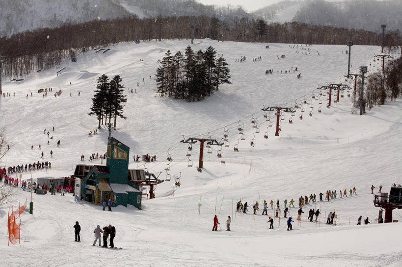 横图,室外,夜晚,旅游,雪,北海道,日本,亚洲,行人,游客,游人,日本文化,地形,许多人,路人,旅客,缆车,树,自然,交通工具,一群人,寒冷,摄影,东亚,索道,札幌,日本国,北海道地方,北海道岛,县厅,缆索铁路,过客,彩图,札幌市