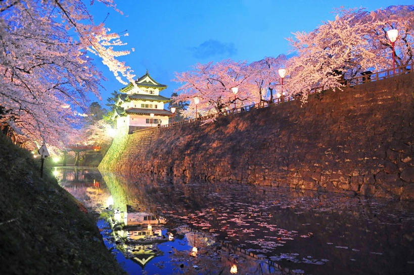 无人,横图,室外,建筑,樱花,日本,日本文化,反射,城堡,墙,历史,树,自然,黄昏,摄影,照亮,护城河,万里无云,青森县,弘前,彩图