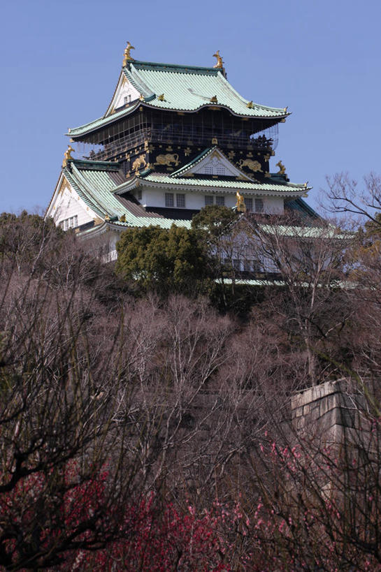 无人,竖图,室外,白天,仰视,建筑,日本,日本文化,城堡,历史,树,自然,摄影,天守阁,万里无云,彩图,低角度拍摄