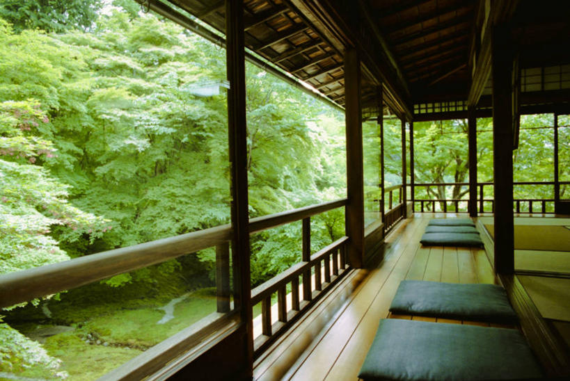 无人,寺庙,横图,室内,白天,日光,日本,日本文化,席子,树,摄影,宗教,佛教,京都府,宁静,宗教建筑,彩图,门廊