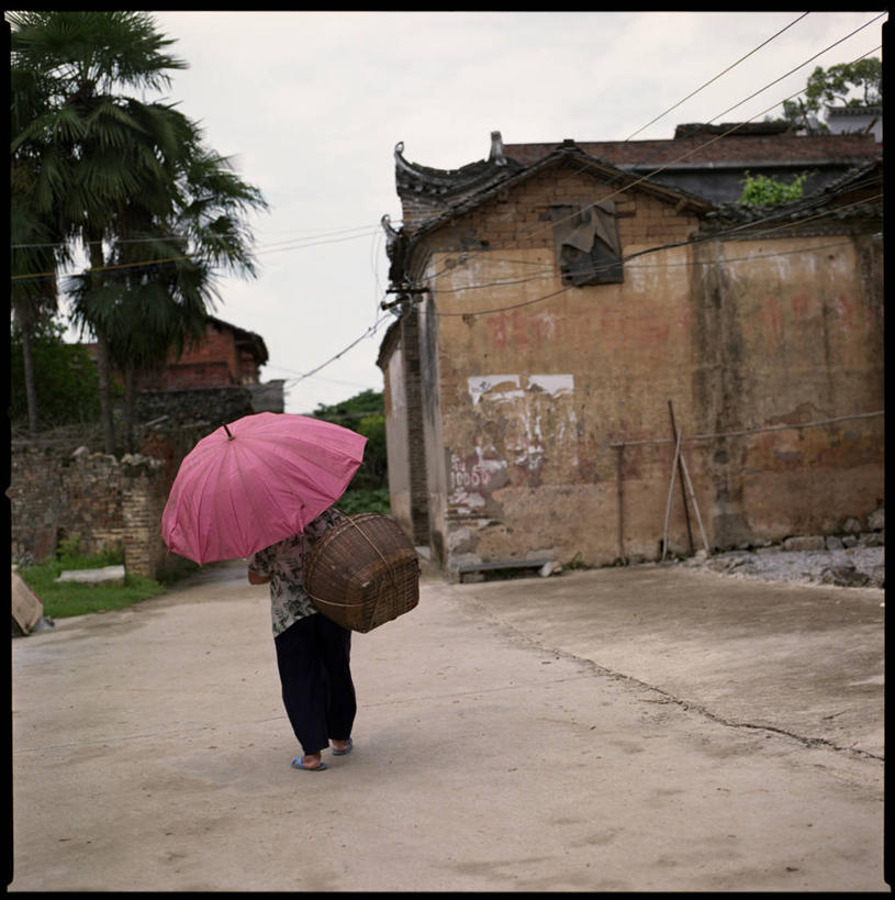 成年人,一个人,竖图,室外,白天,建筑,桂林,仅一个女性,篮子,伞,拿着,休闲装,树,背面,粉色,摄影,保护,阳朔,步行,彩图