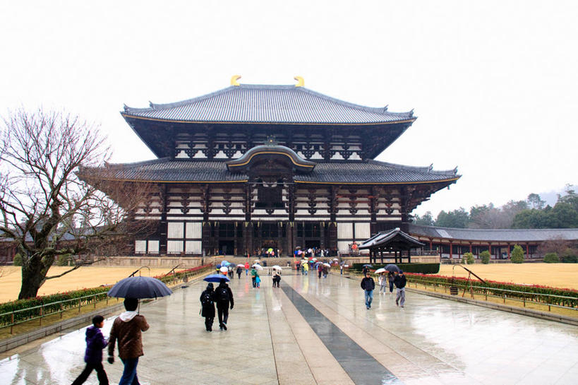 横图,室外,白天,建筑,奈良县,日本,亚洲,湿,日本文化,反射,伞,瓦,拿着,历史,树,天空,地标建筑,摄影,佛教,保护,宗教建筑,东亚,本州,本州岛,日本国,近畿地方,奈良,东大寺,近畿,步行,彩图