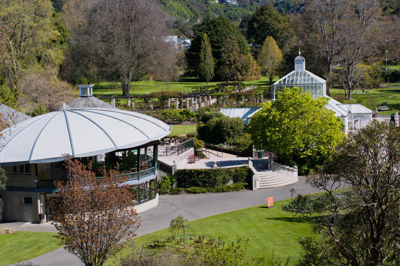 无人,植物园,横图,室外,白天,草坪,楼梯,新西兰,温室,树,自然,地标建筑,摄影,生长,达尼丁,彩图