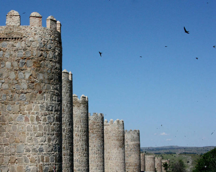 无人,横图,室外,白天,建筑,西班牙,一排,一群,许多,整齐,鸟类,围墙,很多,历史,石墙,废墟,排列,摄影,队列,万里无云,阿维拉,古代文明,彩图