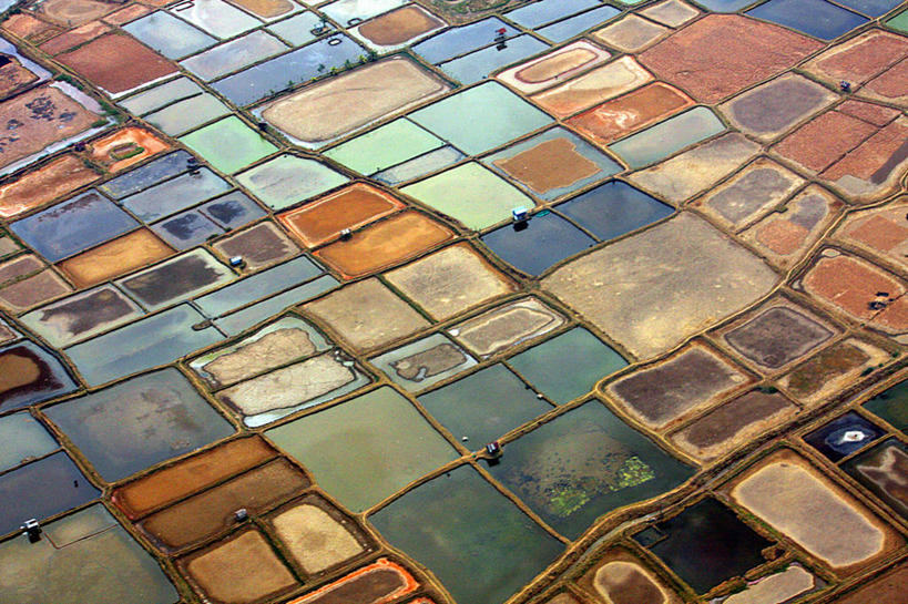 无人,农场,横图,俯视,航拍,室外,白天,农业,水,印度尼西亚,池塘,稻田,自然,摄影,宁静,鸟瞰,式样,南苏拉威西省,彩图,高角度拍摄,望加锡