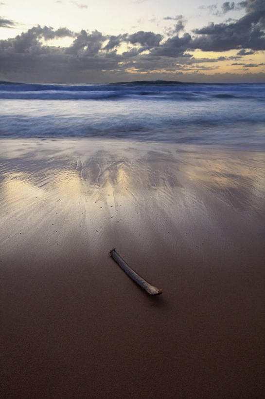 无人,竖图,室外,日出,海洋,美景,澳大利亚,反射,木制,沙子,景观,云,风景,天空,自然,波浪,景色,摄影,宁静,圆木,自然风光,悉尼,新南威尔士,曼莉海滩,海滩,彩图