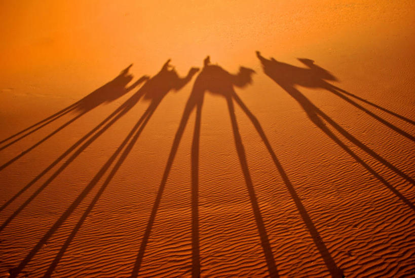 无人,横图,室外,白天,旅途,沙漠,非洲,摩洛哥,一排,整齐,沙子,骆驼,排列,骑车,摄影,队列,阿非利加洲,摩洛哥王国,撒哈拉沙漠,梅克内斯,步行,彩图,旅行