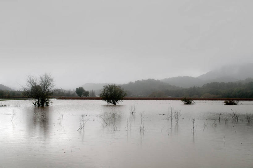 无人,横图,室外,白天,山,水,法国,树,自然,摄影,宁静,彩图,水灾