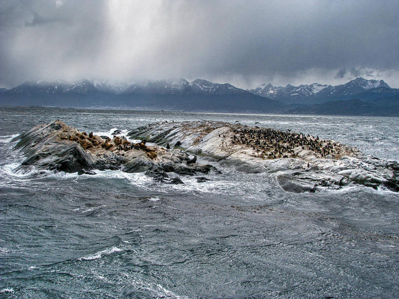 无人,横图,室外,白天,山,野生动物,阿根廷,一群,许多,鸟类,岛,云,很多,自然,摄影,海峡,岩石,彩图