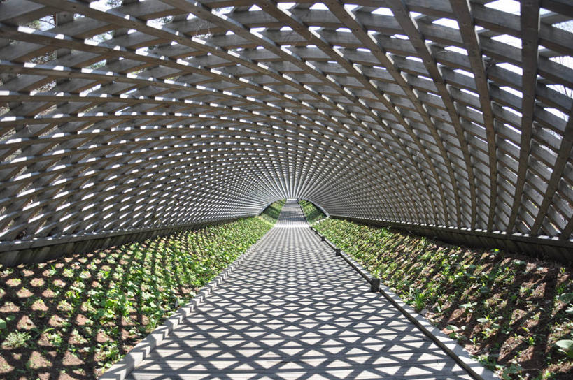 无人,横图,室内,白天,日本,阴影,隧道,陆地,拱门,摄影,宁静,彩图