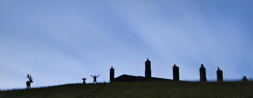 无人,横图,全景,室外,白天,烟囱,鹿,雕塑,爱尔兰,雕像,首都,天空,动物,摄影,宁静,雄鹿,剪影,彩图,爱尔兰文化