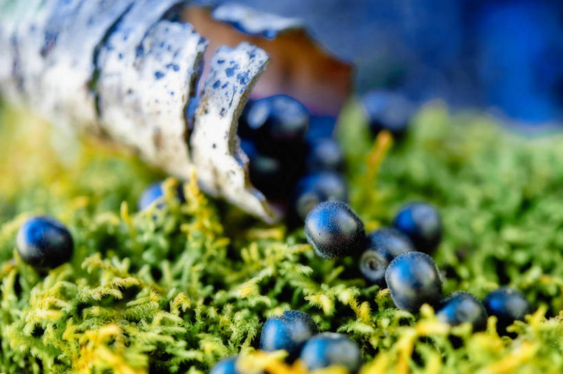 无人,横图,室外,白天,浆果,水果,法国,树皮,饮食,草,摄影,普罗旺斯,清新,健康食物,土伦,彩图