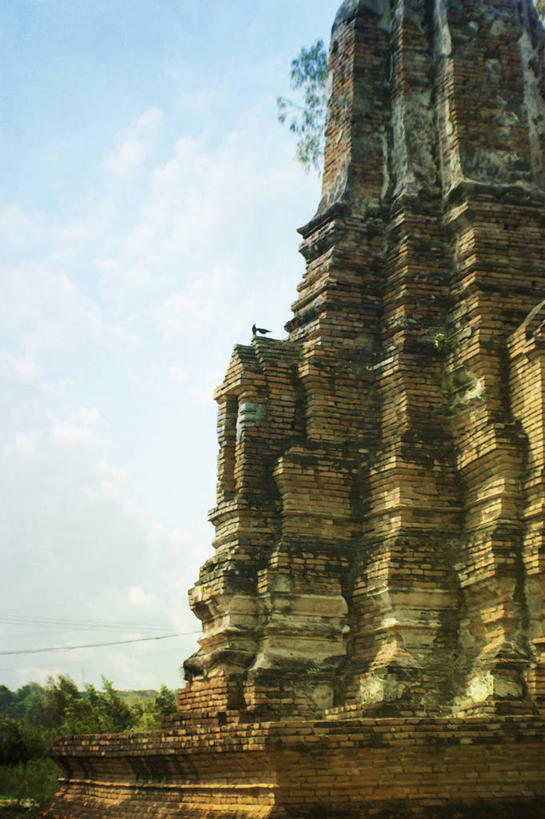 无人,竖图,室外,白天,植物,建筑,泰国,云,历史,佛塔,古代,天空,摄影,宗教,佛教,堆,大城省,彩图