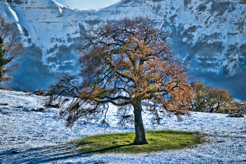 无人,横图,室外,白天,美景,山,山脉,雪,雪山,西班牙,阴影,景观,冬天,草,树,自然,景色,寒冷,摄影,宁静,自然风光,布尔戈斯,彩图,独处