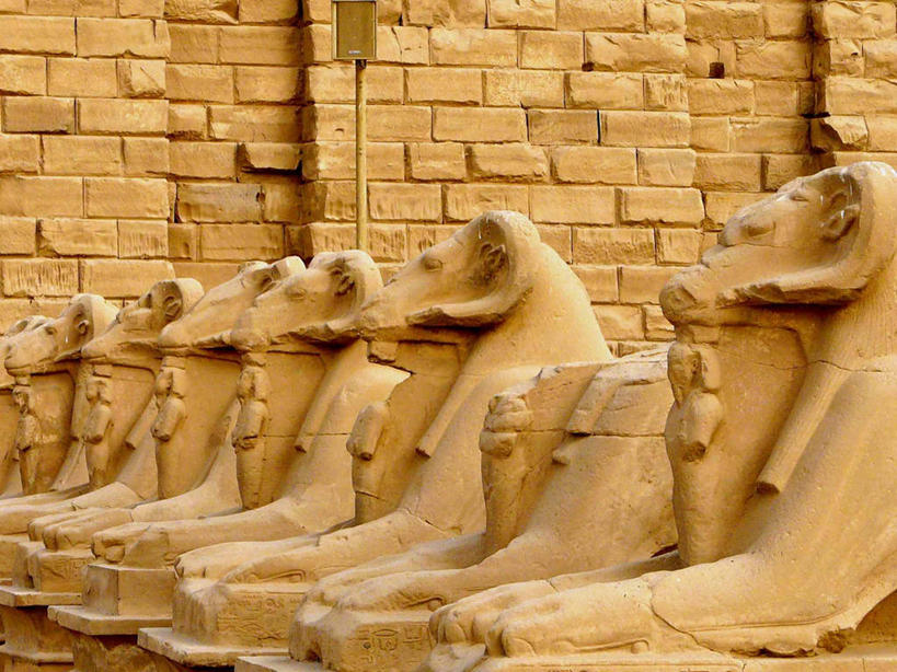 无人,横图,室外,白天,重复,建筑,埃及,一排,整齐,历史,排列,摄影,中东,狮身人面像,队列,公羊,卡尔纳克神殿,埃及文化,斯芬克斯,古代文明,彩图,埃及卢克索