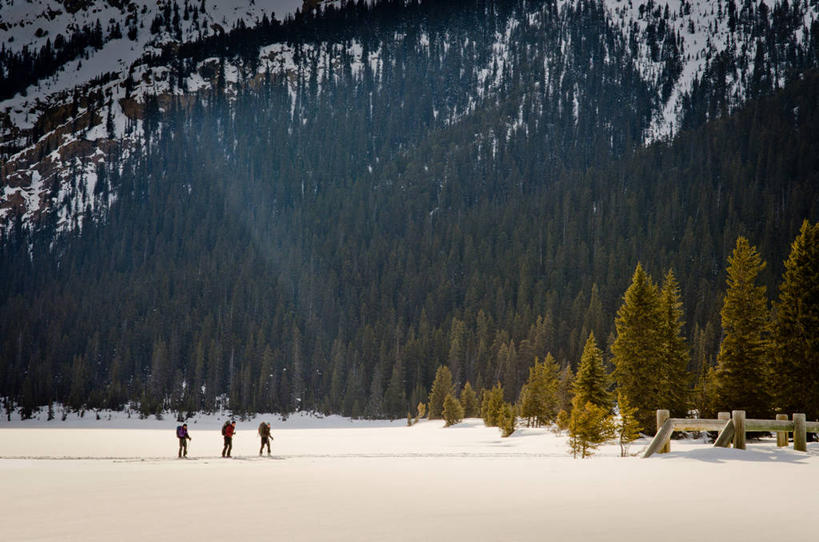 西方人,中年人,老年人,三个人,横图,室外,白天,山,雪,欧洲,加拿大,欧洲人,冬天,树,自然,寒冷,摄影,冒险,白种人,步行,彩图