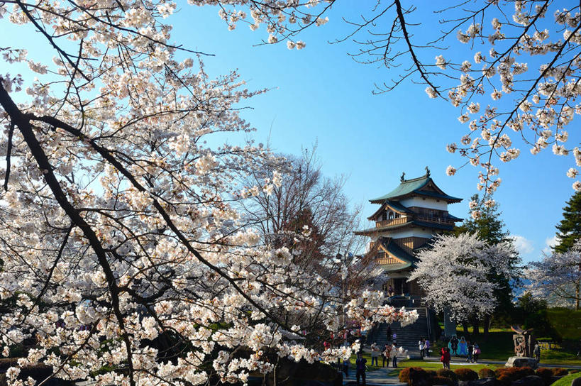 公园,横图,室外,特写,白天,城市,日本,草,花,树,自然,春天,摄影,宁静,改变,万里无云,诹访,彩图