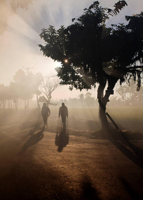 两个人,竖图,室外,白天,镜头眩光,路,印度尼西亚,阴影,乡村,树,自然,摄影,剪影,步行,彩图,巴厘