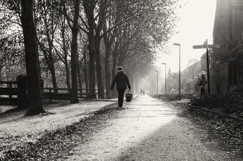 一个人,横图,黑白,室外,白天,荷兰,冬天,草,树,背面,天空,自然,摄影,运河,步行