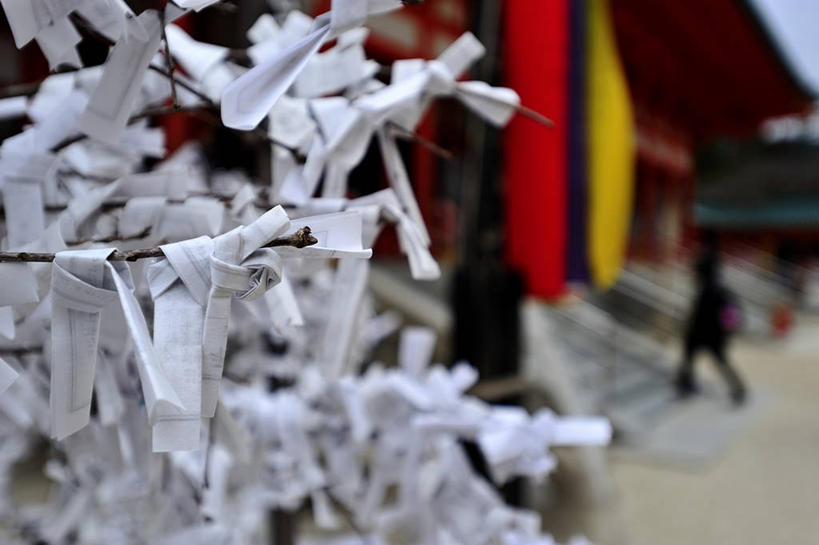 横图,室外,白天,运气,京都,日本,亚洲,纸,枝,经幡,打结,摄影,宗教,佛教,京都府,东亚,算命,本州,本州岛,日本国,近畿地方,平安神宫,近畿,彩图