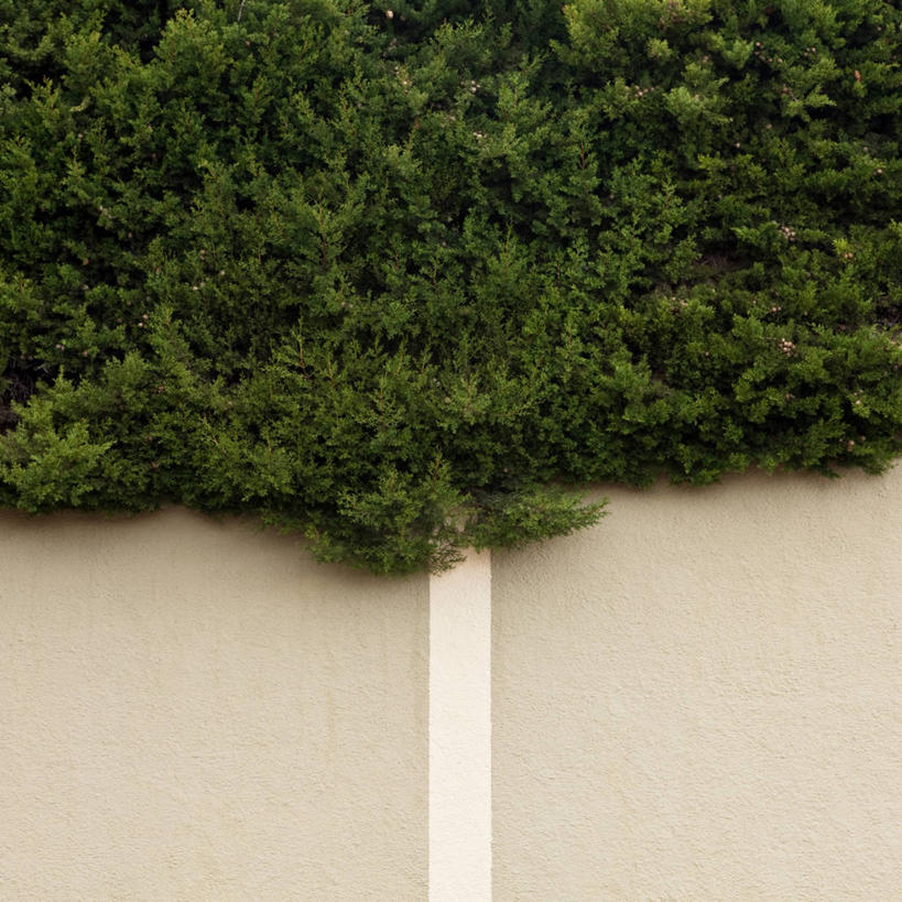 无人,方图,室外,白天,西班牙,巴塞罗那,线条,墙,自然,摄影,生长,灌木,彩图