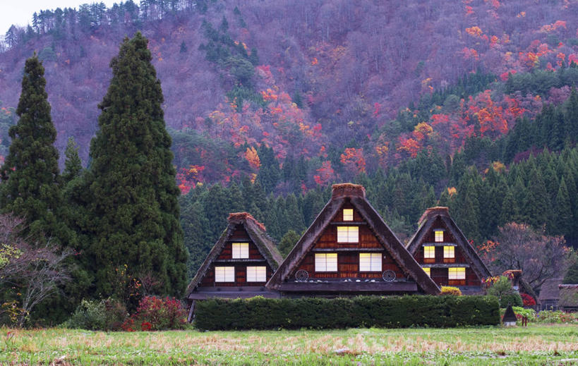 无人,横图,室外,白天,美景,山,建筑,日本,房屋,景观,篱笆,花,树,风景,自然,景色,摄影,宁静,清新,自然风光,岐阜县,彩图,白川