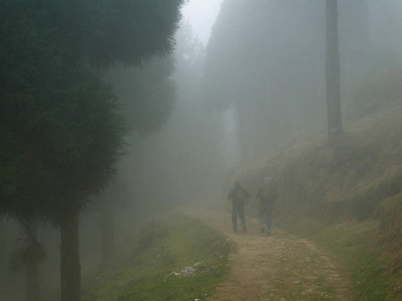 成年人,两个人,横图,室外,山,雾,孟加拉国,印度,亚洲,黎明,天气,草,树,背面,自然,摄影,早晨,南亚,背包客,孟加拉人民共和国,大吉岭,步行,彩图