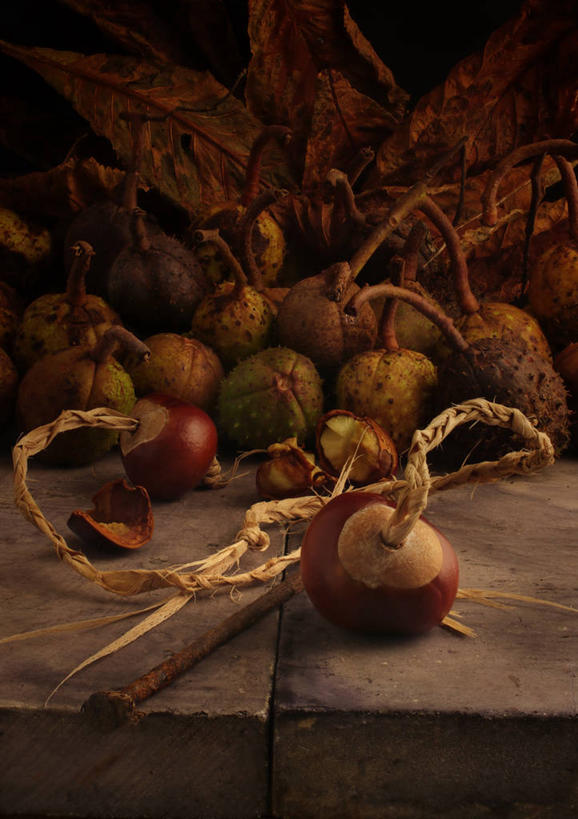 无人,竖图,室内,特写,白天,英国,许多,种子,很多,饮食,摄影,清新,七叶树,娑罗树,秋天,彩图,传统文化