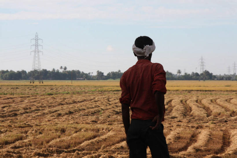 成年人,一个人,站,横图,室外,白天,农业,印度,仅一个男性,头巾,头饰,稻田,地形,云,休闲装,背面,天空,自然,发饰,叉腰,思考,摄影,喀拉拉邦,半身,彩图,输电塔,独处