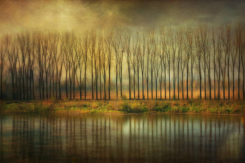 无人,横图,室外,白天,湖,德国,并排,反射,树,天空,自然,摄影,宁静,简单,彩图