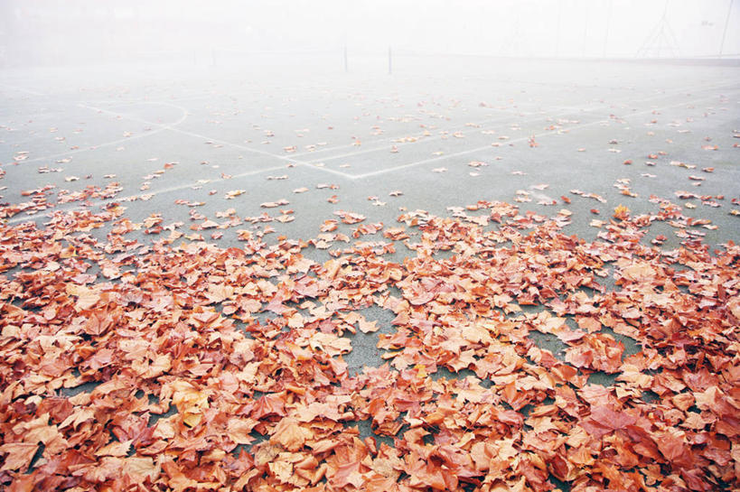 无人,横图,室外,白天,游乐场,日光,英国,首都,自然,摄影,宁静,改变,秋天,彩图