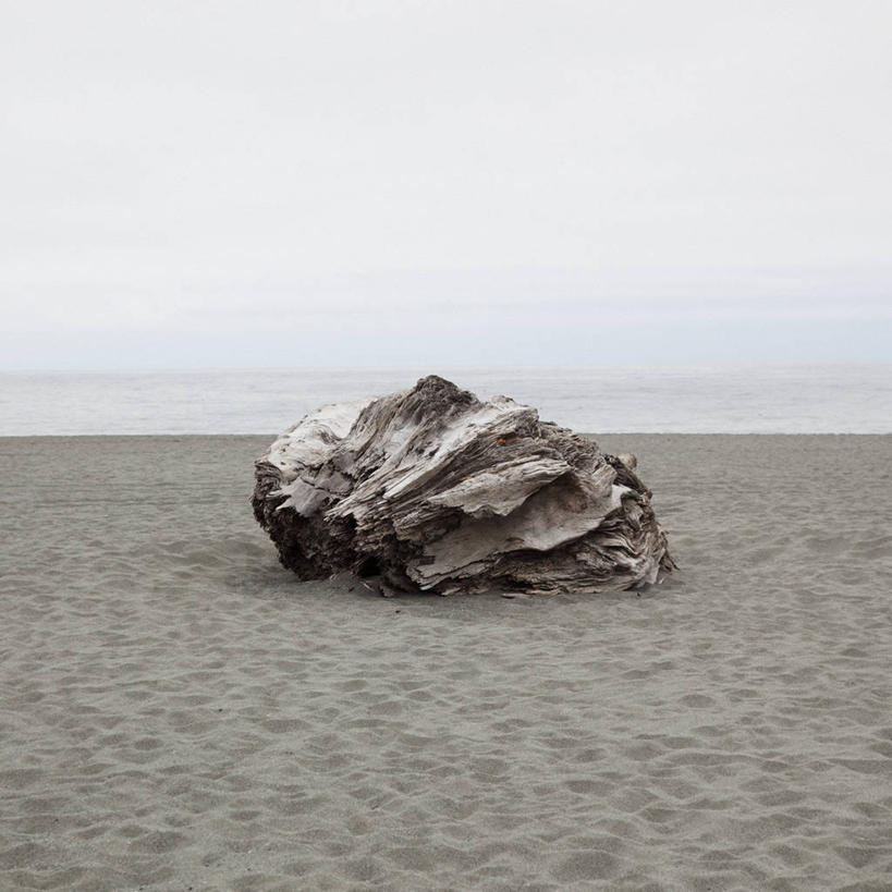 无人,方图,室外,白天,海洋,美国,木制,水平线,云,树桩,天空,自然,摄影,宁静,加利福尼亚,海滩,彩图,石化木