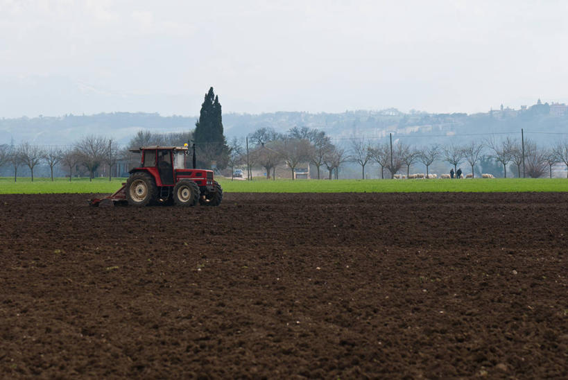 横图,室外,白天,农业,山,意大利,准备,树,天空,运输,摄影,拖拉机,彩图,耕地