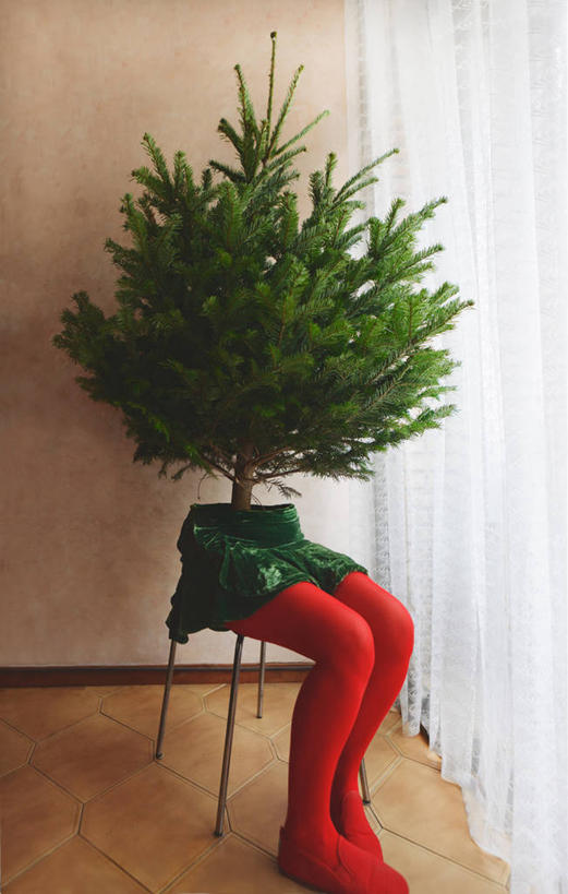 无人,竖图,室内,白天,抽象,窗帘,西班牙,巴塞罗那,圣诞节,庆祝,圣诞树,树,摄影,想法,彩图,传统文化,巴塞罗那省