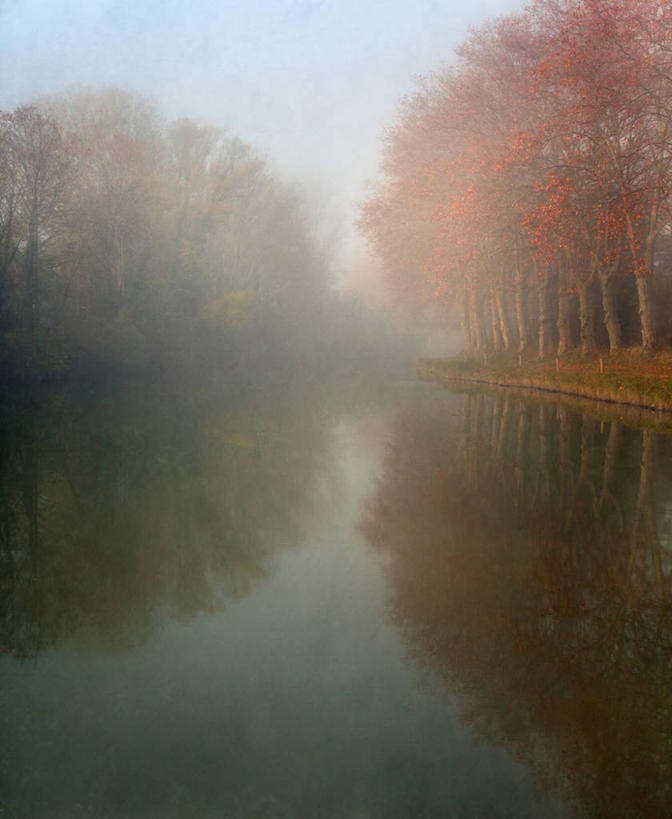 无人,竖图,室外,雾,法国,反射,天气,树,天空,自然,摄影,宁静,运河,早晨,秋天,彩图,林荫大道,贝塞尔