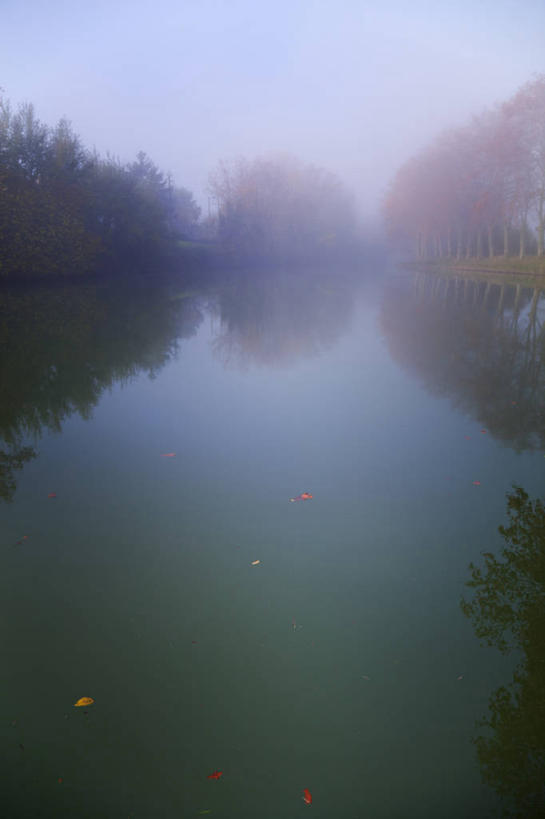 无人,竖图,室外,雾,法国,反射,天气,树,天空,自然,摄影,宁静,运河,早晨,秋天,彩图,贝塞尔