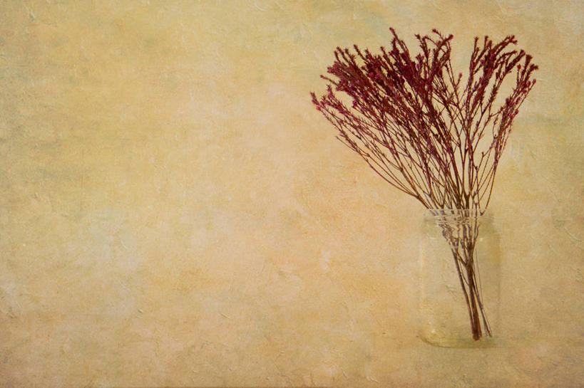 无人,横图,特写,英国,黄色背景,纹路,纹理,花,容器,摄影,脆弱,清新,肌理,石南花,柴郡,彩图