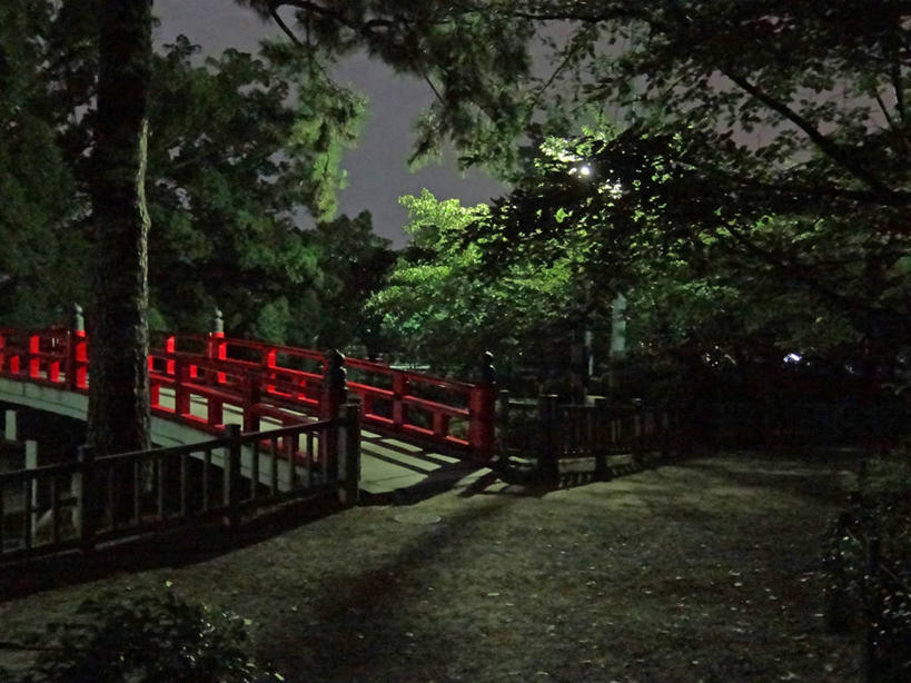 无人,横图,室外,夜晚,爱知县,日本,日本文化,篱笆,桥,联系,树,红色,摄影,宁静,彩图