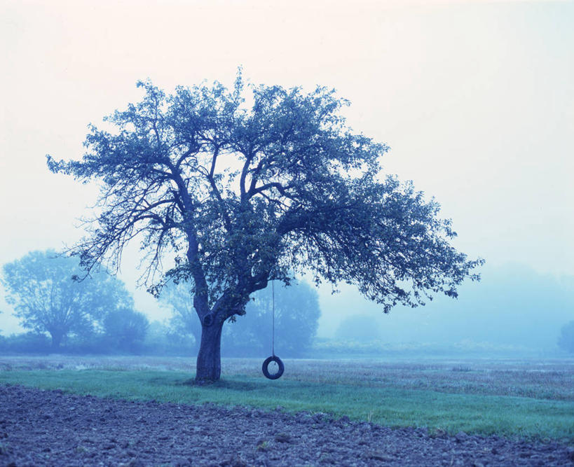 无人,横图,室外,游戏,雾,波兰,吊挂,悬挂,摇摆,黎明,天气,挂,玩,娱乐,草,树,黑色,天空,自然,轮胎,秋千,荡秋千,休闲,橡胶,摄影,活动,宁静,摇晃,橡胶制品,车胎,玩耍,嬉戏,彩图,外胎