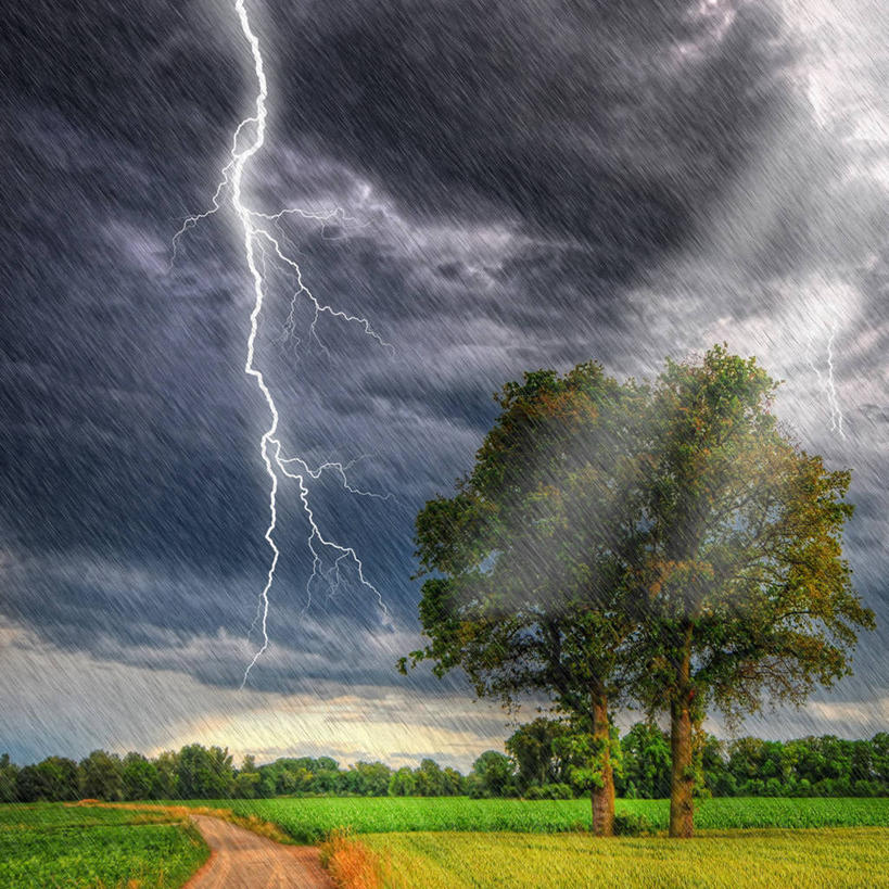 无人,方图,室外,闪电,雨,暴风雨,法国,地形,乌云,天气,树,自然,黄昏,摄影,雷雨,危险,彩图