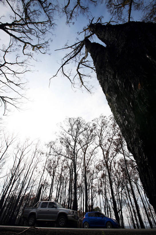 无人,竖图,室外,白天,仰视,路,汽车,澳大利亚,天空,自然,运输,摄影,宁静,停止,暂停,停滞,彩图,低角度拍摄,皮卡车