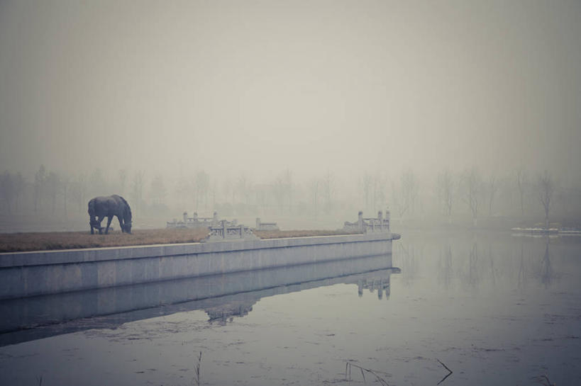 无人,公园,横图,室外,白天,马,反射,冬天,天气,自然,动物,家畜,摄影,陕西省,彩图