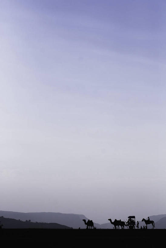 无人,横图,竖图,室外,白天,留白,马,印度,四只,地形,高原,骆驼,天空,运输,摄影,剪影,马哈拉施特拉邦,彩图
