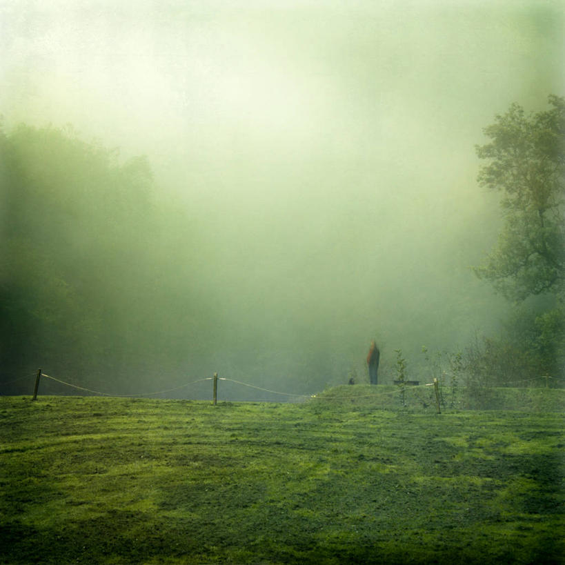 一个人,公园,站,方图,室外,美景,雾,德国,地形,景观,黎明,天气,草,自然,景色,摄影,宁静,早晨,自然风光,伍珀塔尔,彩图