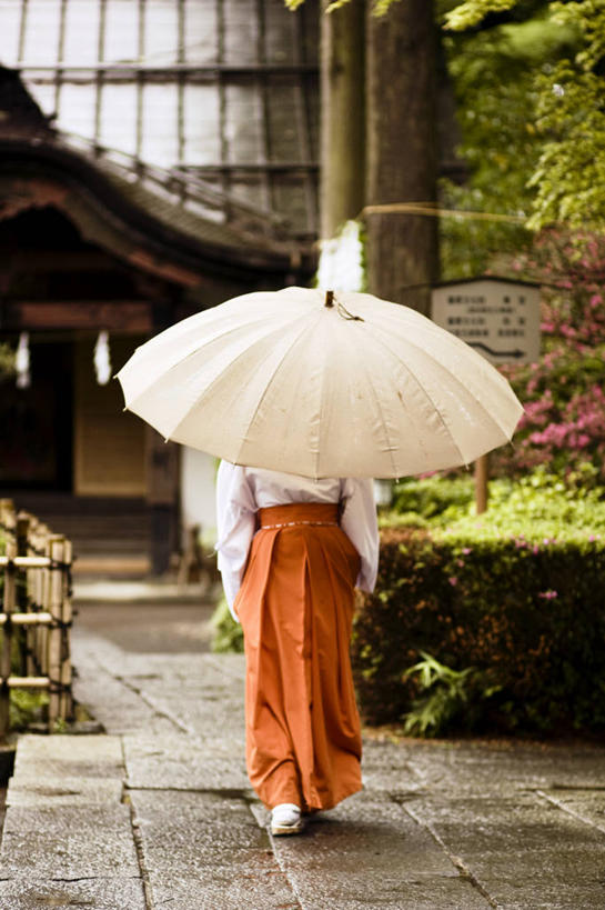 东方人,成年人,一个人,竖图,室外,白天,日本,亚洲,仅一个女性,日本文化,伞,拿着,黄种人,木屐,背面,自然,日本人,摄影,佛教,亚洲人,步行,彩图,传统服装,传统文化