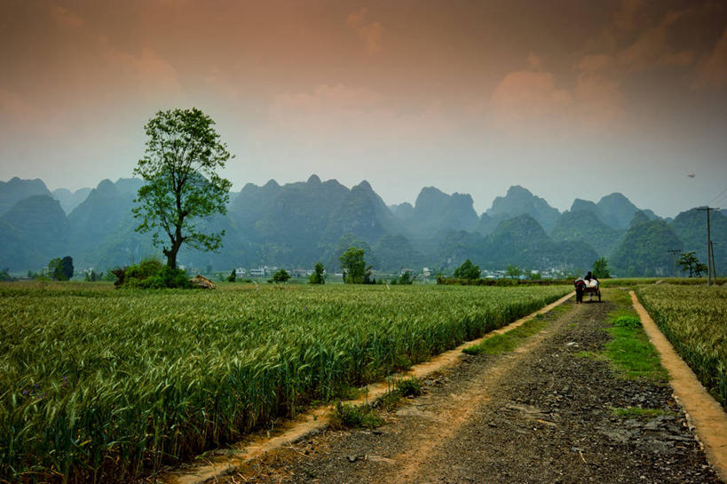 一个人,横图,室外,山,山脉,推车,地形,云,草,树,天空,自然,黄昏,运输,摄影,生长,宁静,贵州省,彩图