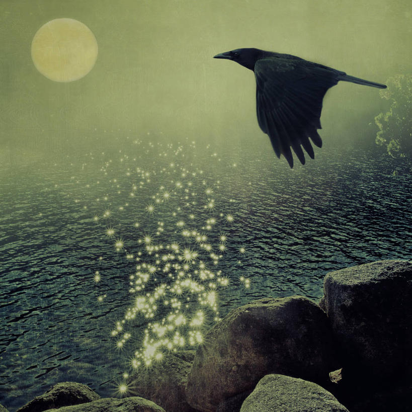 无人,方图,室外,侧面,湖,野生动物,美国,光线,鸟类,月亮,满月,光芒,半空,飞,黄昏,摄影,乌鸦,加利福尼亚,优胜美地国家公园,岩石,彩图