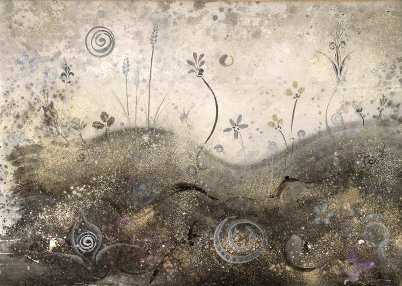 无人,横图,室外,草地,美国,树荫,花,黄昏,摄影,灰尘,创造力,想法,彩图