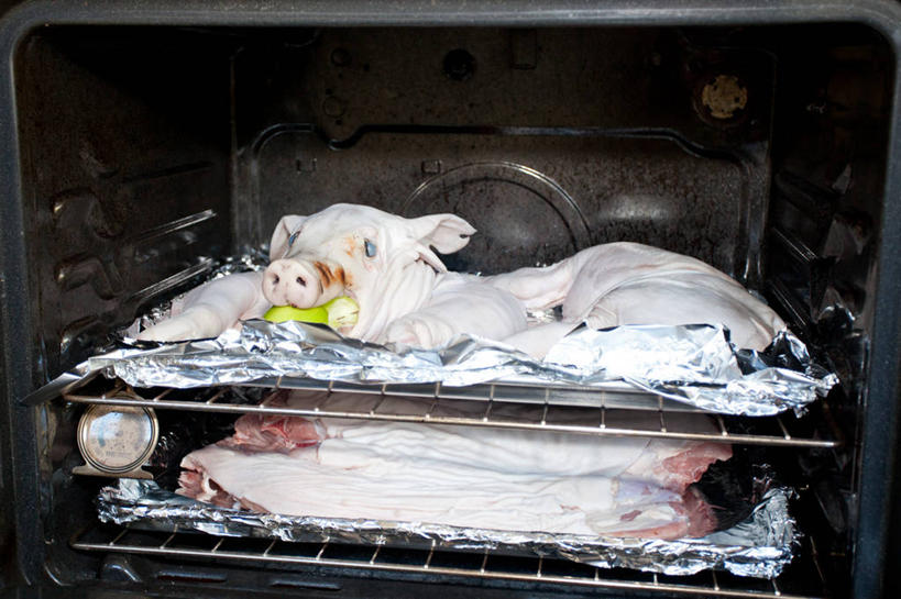 无人,横图,室内,厨房,美国,准备,烤炉,生食,猪肉,饮食,摄影,健康食物,彩图